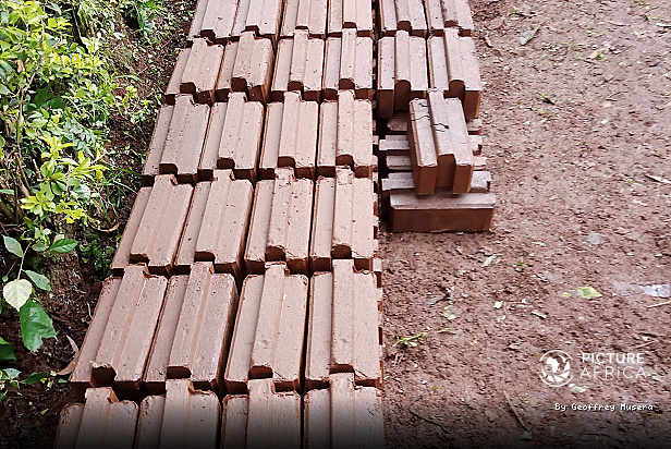 Interlocking African Bricks