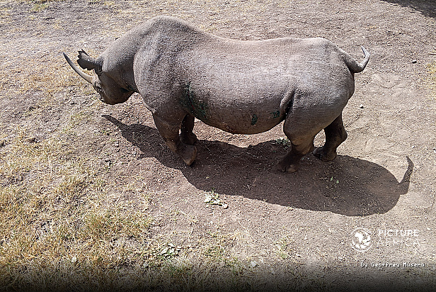 {"id":59,"name":"East African Safari & Heritage","slug":"east-african-safari-heritage","created_at":"2026-10-28T18:43:57.000000Z","updated_at":"2026-10-28T18:43:57.000000Z"}