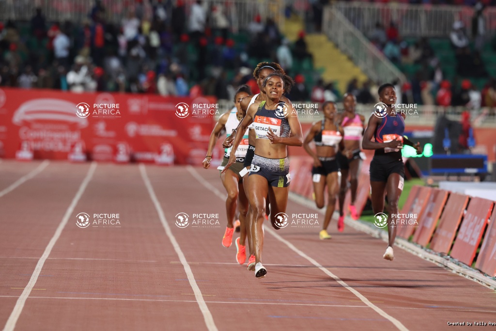 KIP KEINO CLASSIC CONTINENTAL TOUR GOLD