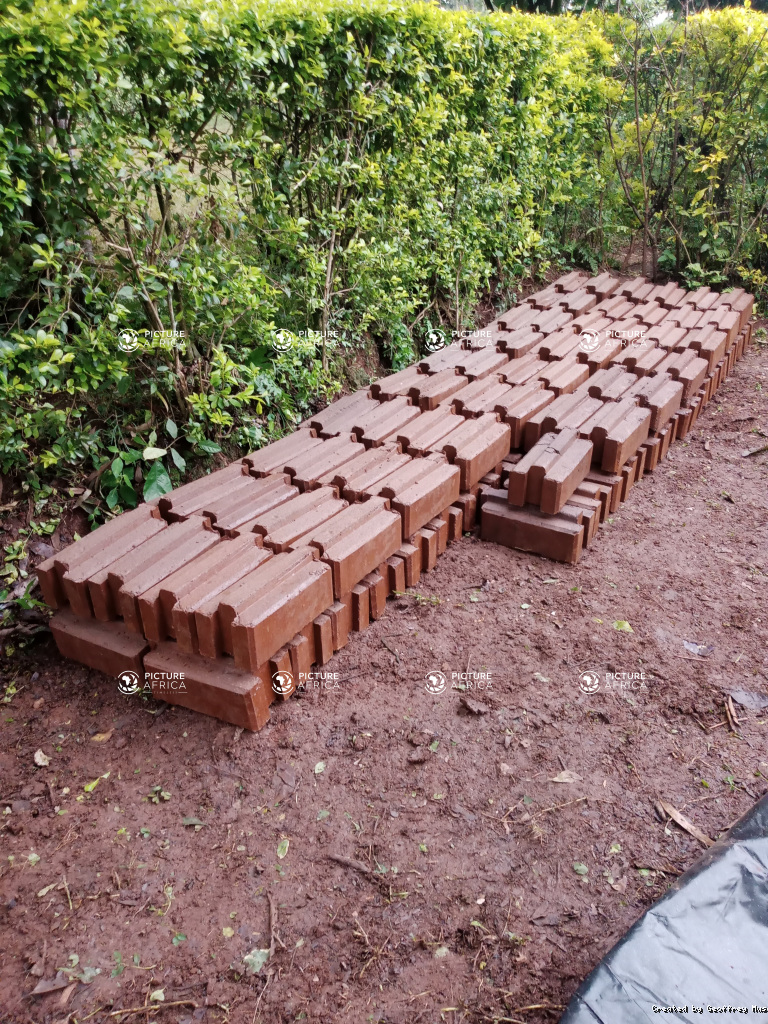 Close-Up of Interlocking Tongue-and-Groove Soil Bricks