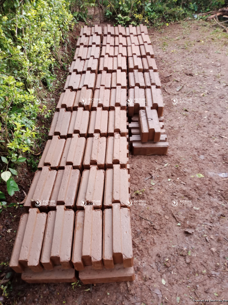 Precision-Molded Interlocking Earth Blocks Curing Outdoors