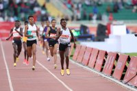 KIP KEINO CLASSIC CONTINENTAL TOUR GOLD