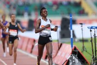 KIP KEINO CLASSIC CONTINENTAL TOUR GOLD