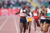 KIP KEINO CLASSIC CONTINENTAL TOUR GOLD
