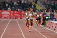 KIP KEINO CLASSIC CONTINENTAL TOUR GOLD